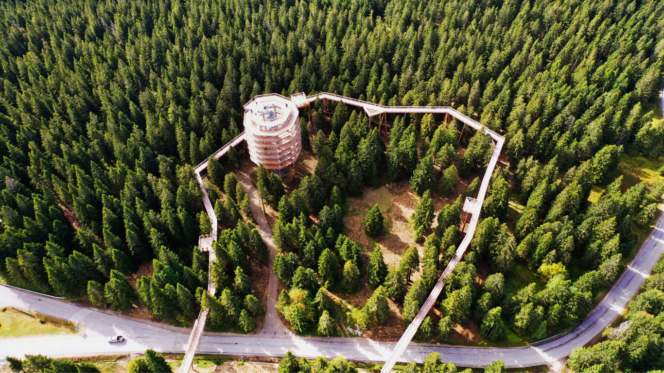 Pot med krošnjami i Maribor 🌳 - Starline putnička agencija Pot med krošnjami i Maribor 🌳